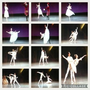 IMG_20180703_140557_896.jpg